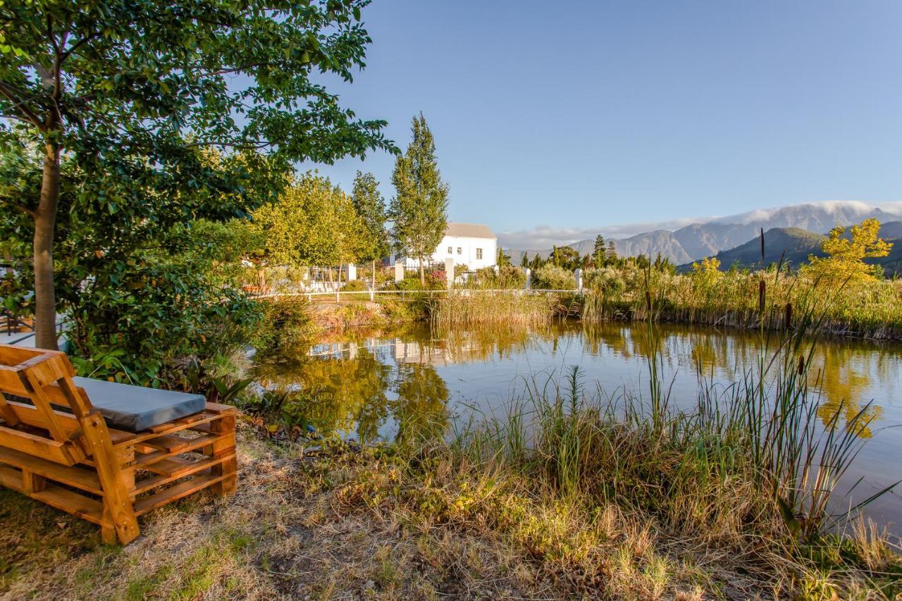 Droom Guesthouse Franschhoek Extérieur photo